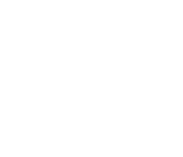 Galleri Puls Art